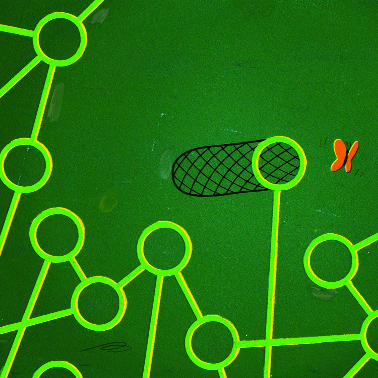 Illustration of butterfly and net as part of a network