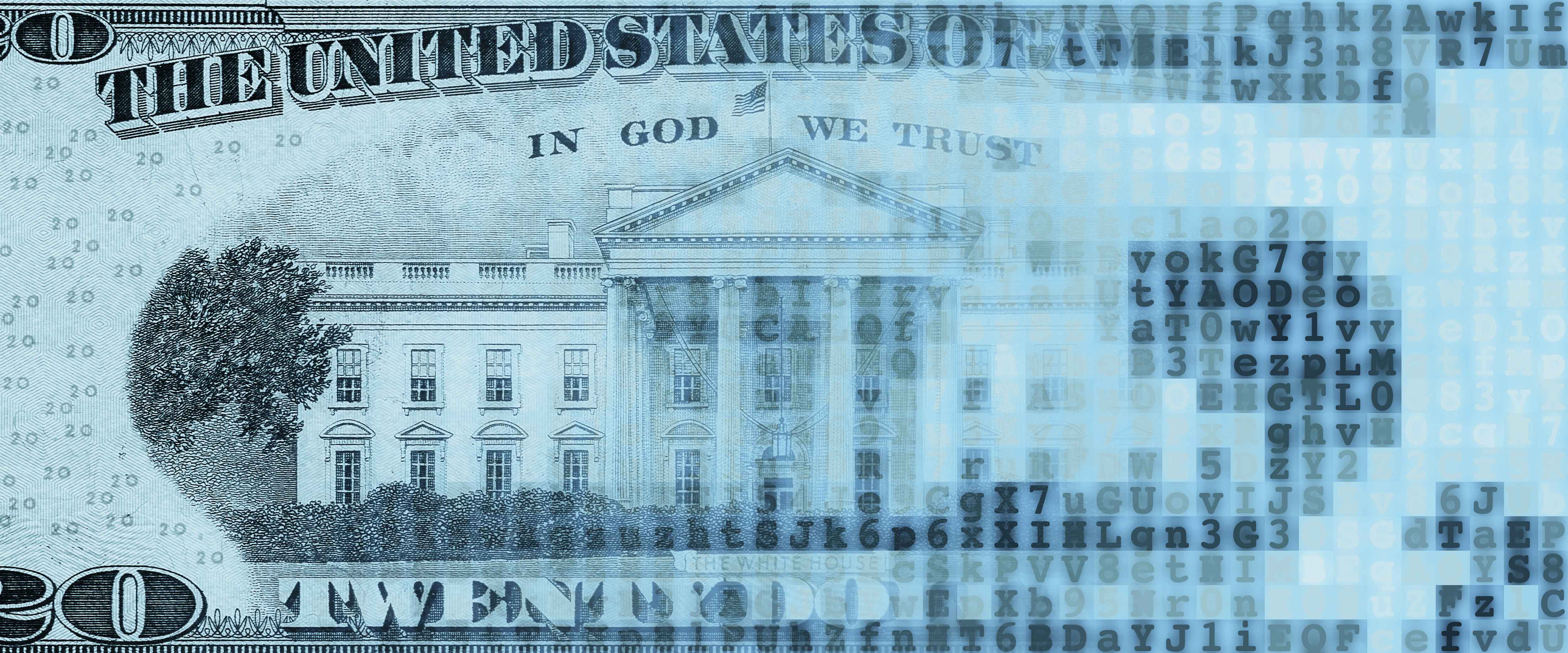 Digitized 20 dollar bill