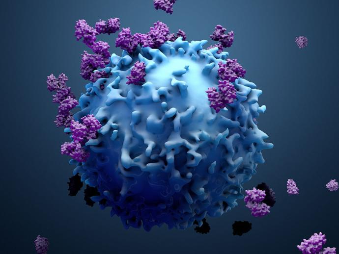 Visual of immunotherapy