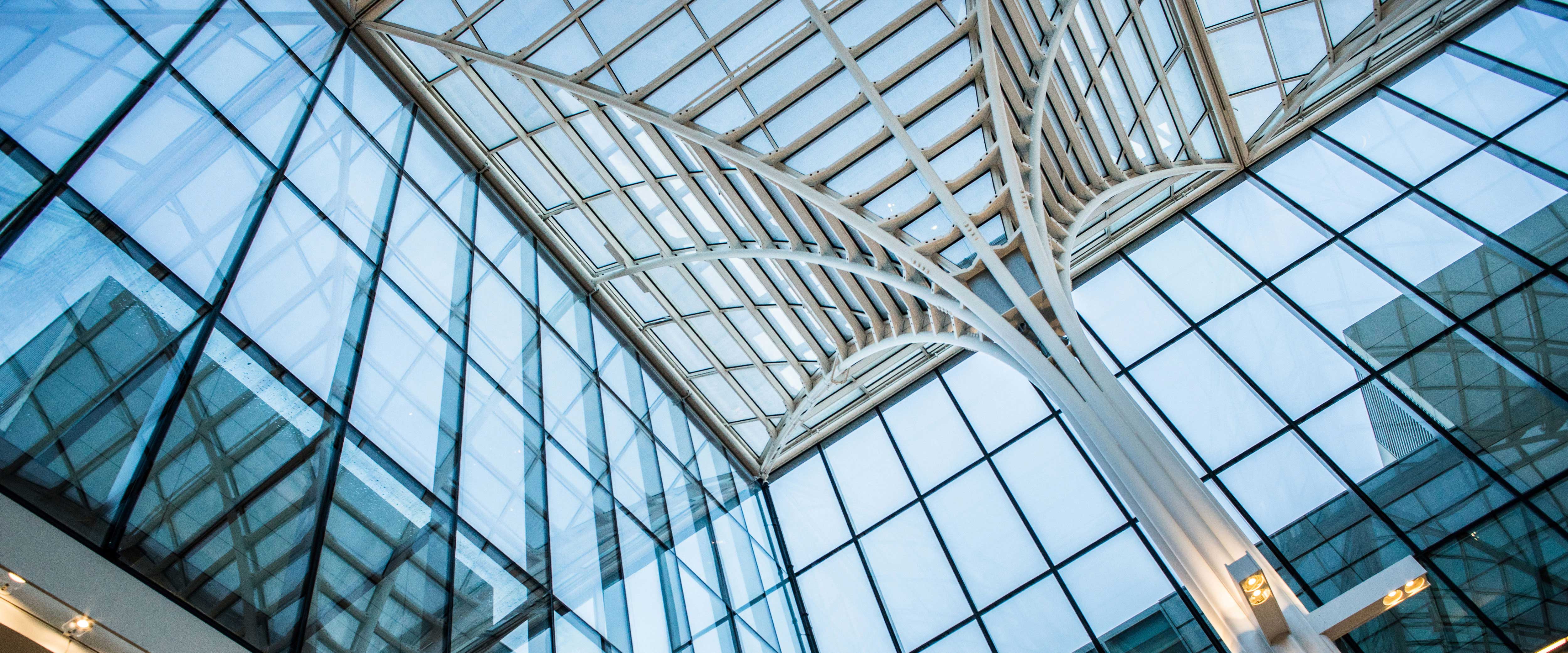 Upwards shot of Harper Center Winter Garden