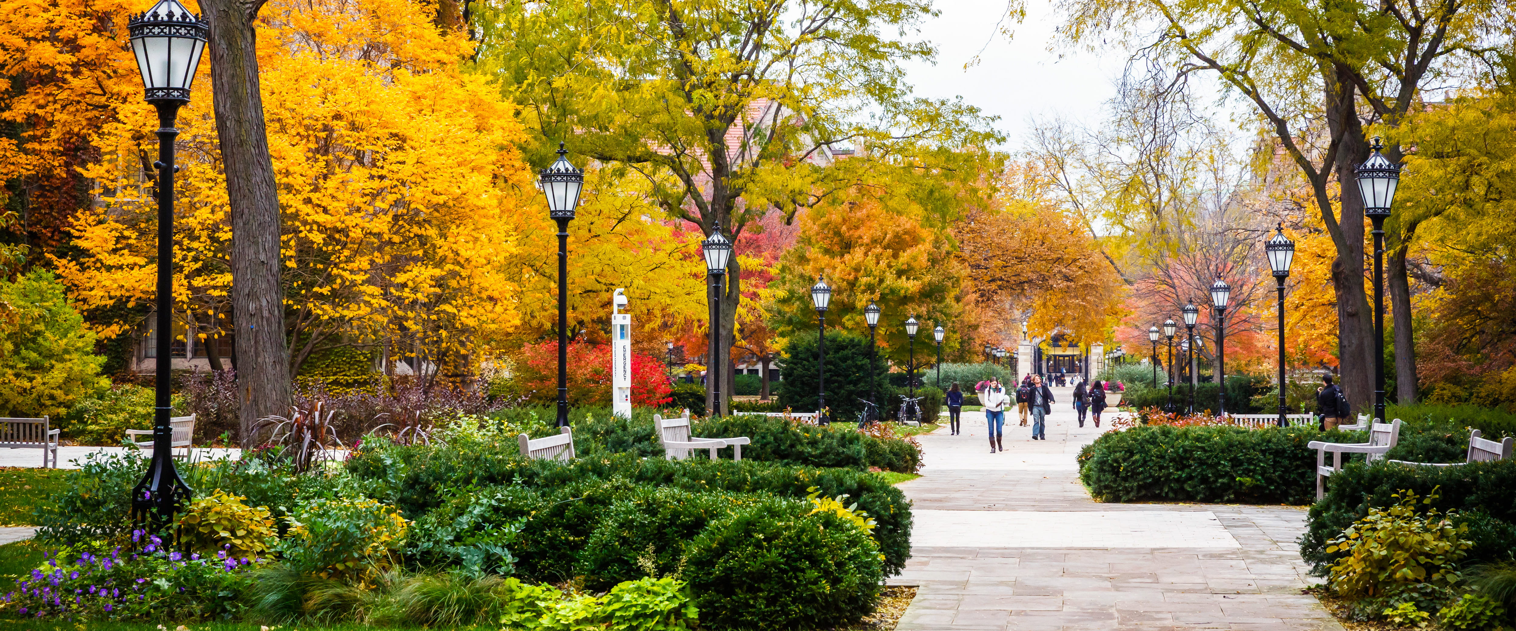 University of Chicago Hyde Park campus